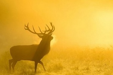 Những hình ảnh khoa học ấn tượng tuần qua  