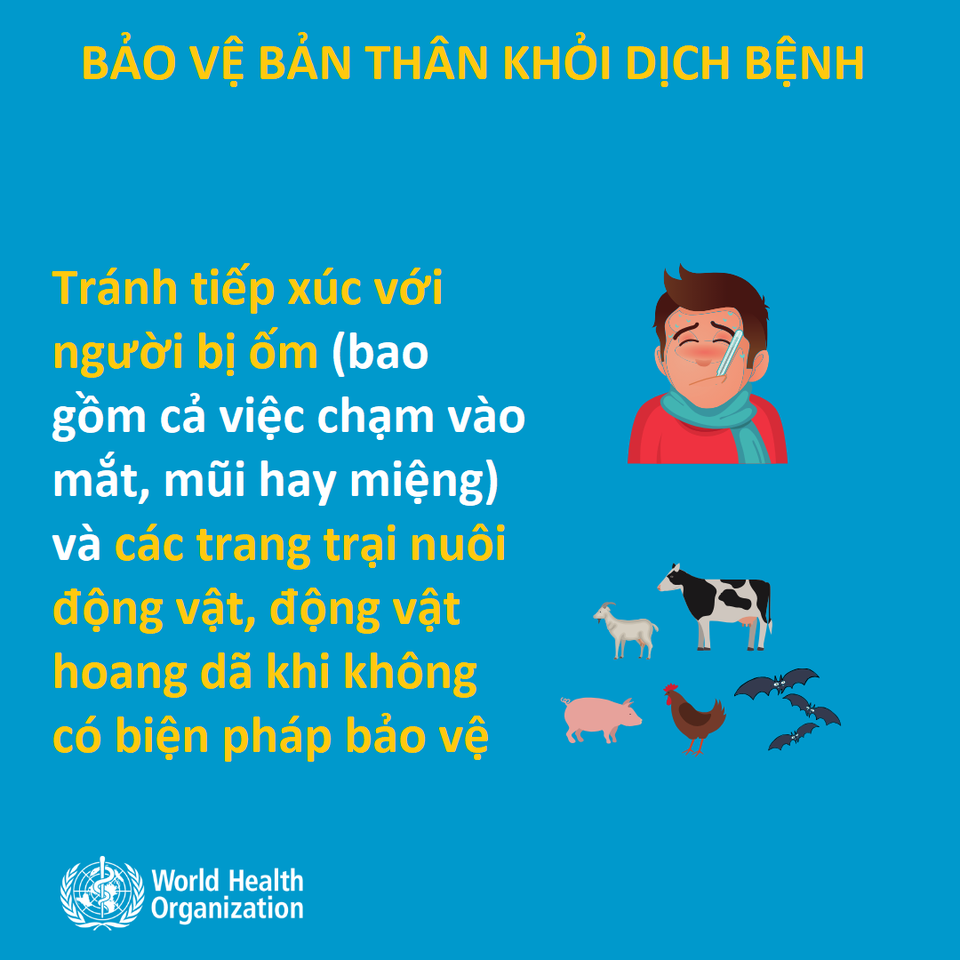 Chuyên gia hướng dẫn ngăn ngừa nguy cơ nhiễm virus viêm phổi lạ Vũ Hán - 6 Chuyên gia hướng dẫn ngăn ngừa nguy cơ nhiễm virus viêm phổi lạ Vũ Hán - 6