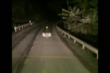 Hành động đẹp và nhân văn của tài xế xe tải trong đêm tối