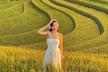 Khách đổ về Mù Cang Chải ngắm ruộng lúa chín, nhiều homestay "cháy phòng"