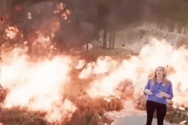 Kênh truyền hình Mỹ “nhấn chìm”  MC trong biển lửa cháy rừng bằng công nghệ 3D