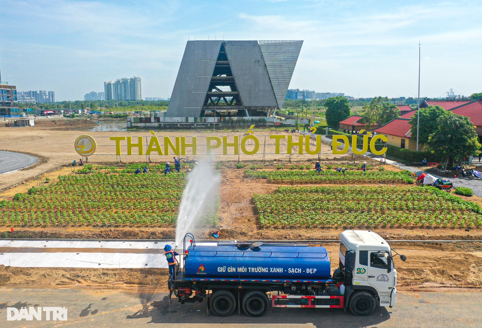 Tất bật trồng 15.000 cây hướng dương ở bờ sông Sài Gòn - 1 Tất bật trồng 15.000 cây hướng dương ở bờ sông Sài Gòn - 1