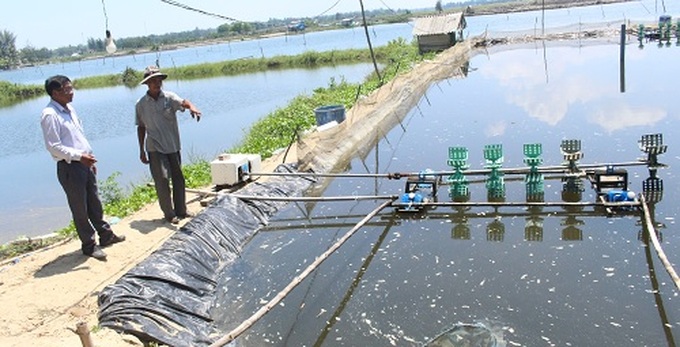 Tỉnh đề nghị các đơn vị, địa phương theo dõi, nhân rộng các mô hình, gương điển hình trong thực hiện công tác giảm nghèo bền vững trên địa bàn.