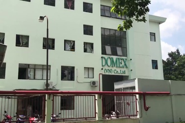 Bị nhánh cây rơi trúng, nữ công nhân nguy kịch