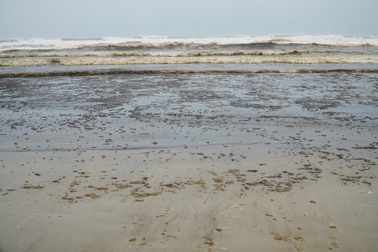 Vùng nước biển đen ngòm đang dịch chuyển trên vùng biển Dung Quất