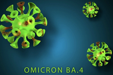 Biến thể phụ BA.4 của chủng Omicron nguy hiểm như thế nào?
