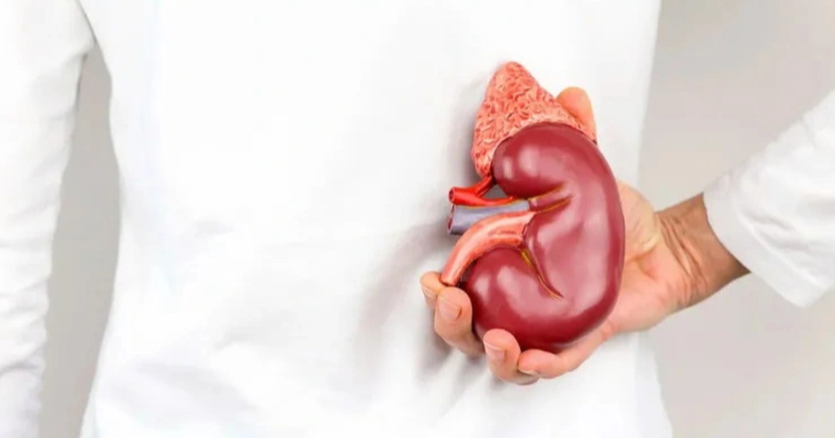 Những tín hiệu hàng ngày cho thấy chức năng thận ổn định