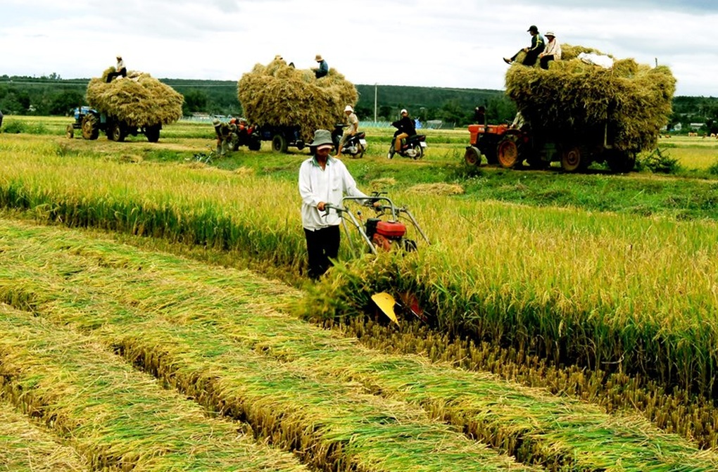 An toàn lao động trong nông nghiệp nhìn từ giải pháp phối hợp của 3 Bộ - 2 An toàn lao động trong nông nghiệp nhìn từ giải pháp phối hợp của 3 Bộ - 2