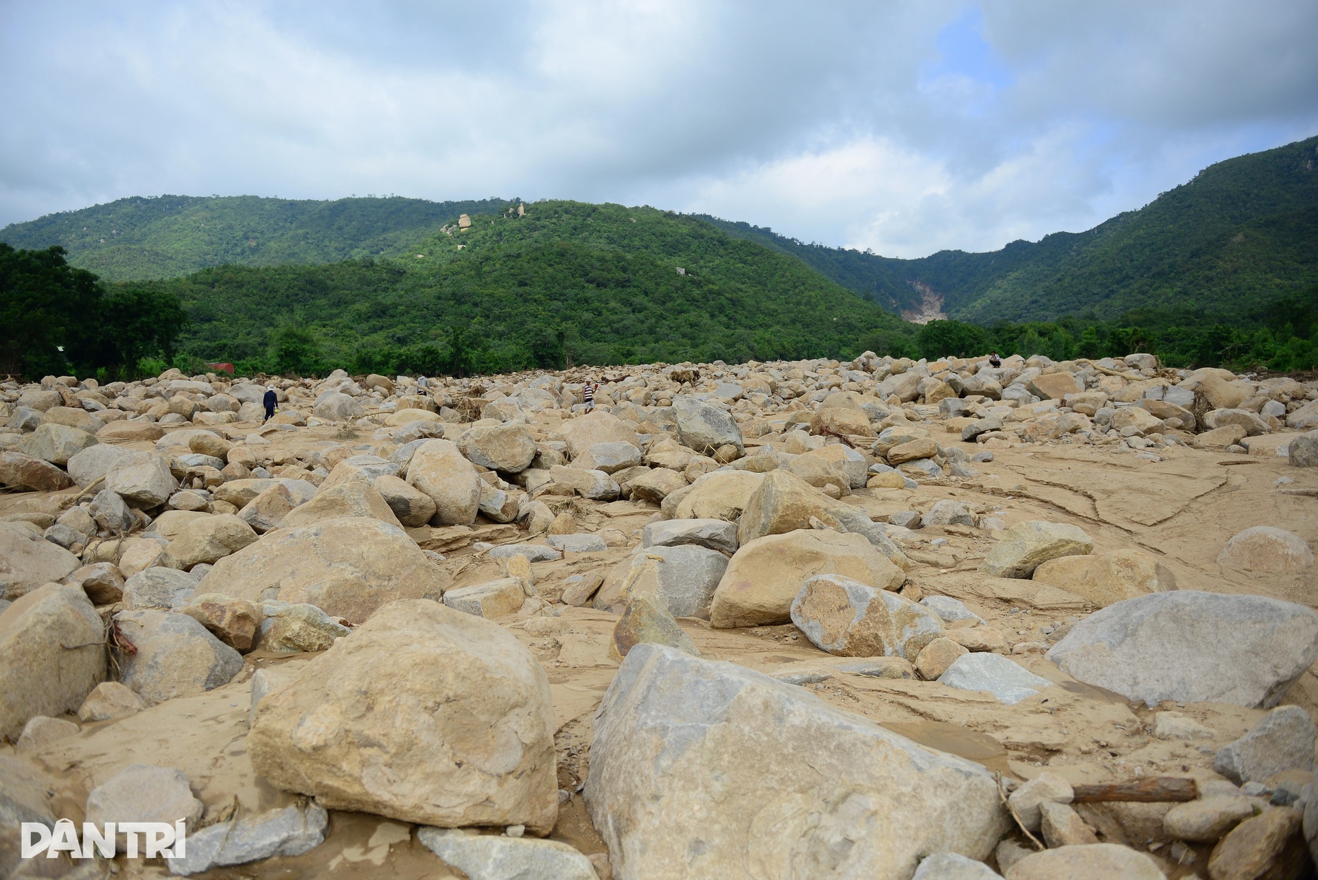 Hiện trường quả đồi bị nước lũ xé toạc ở Lâm Đồng - 7