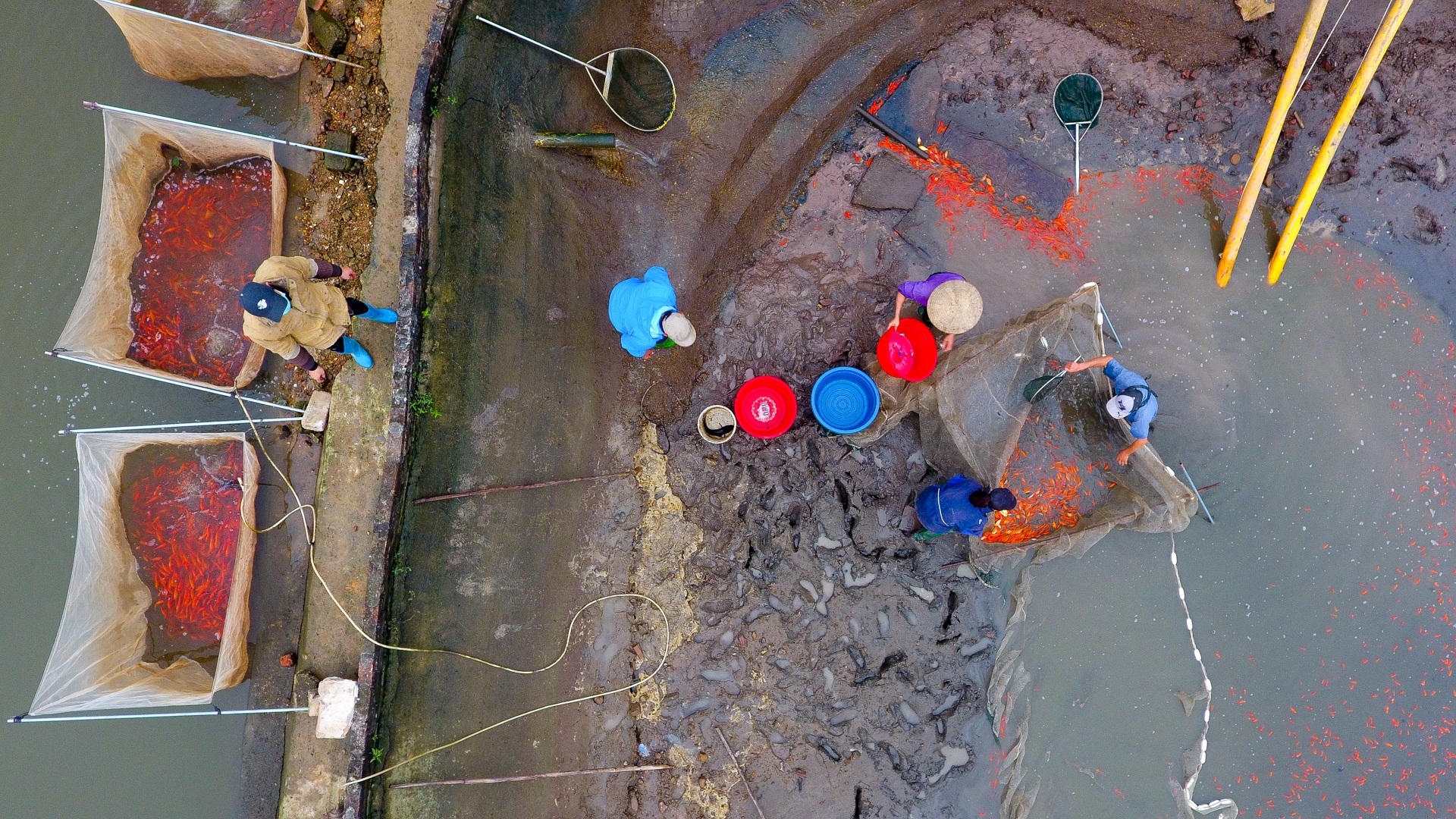 Làng nghề sản xuất phương tiện cho ông Công, ông Táo hối hả thu hoạch - 9