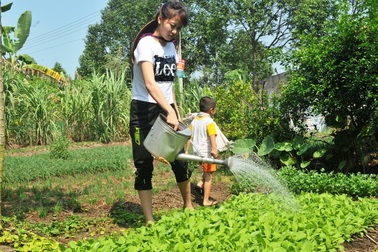 Gặp lại nữ sinh 16 tuổi là trụ cột gia đình