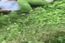 CSGT bắt nhóm nghi phạm giết người đang trốn chạy bằng xe ô tô