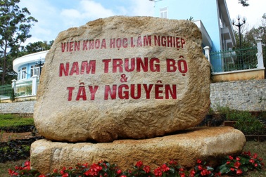 Mất hơn 2.000 ha rừng nhưng chỉ phát hiện hơn 3,1 ha?