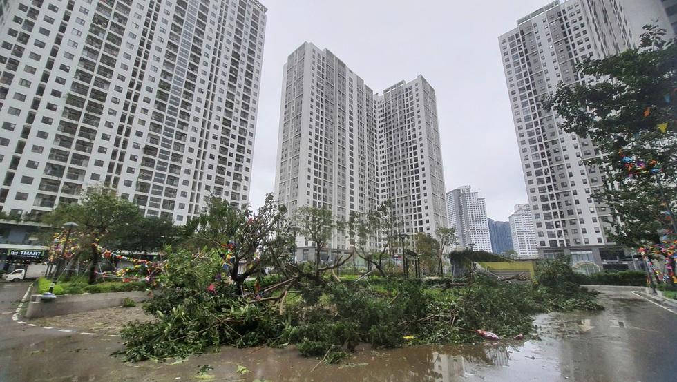Nhà chung cư trong bão - 1