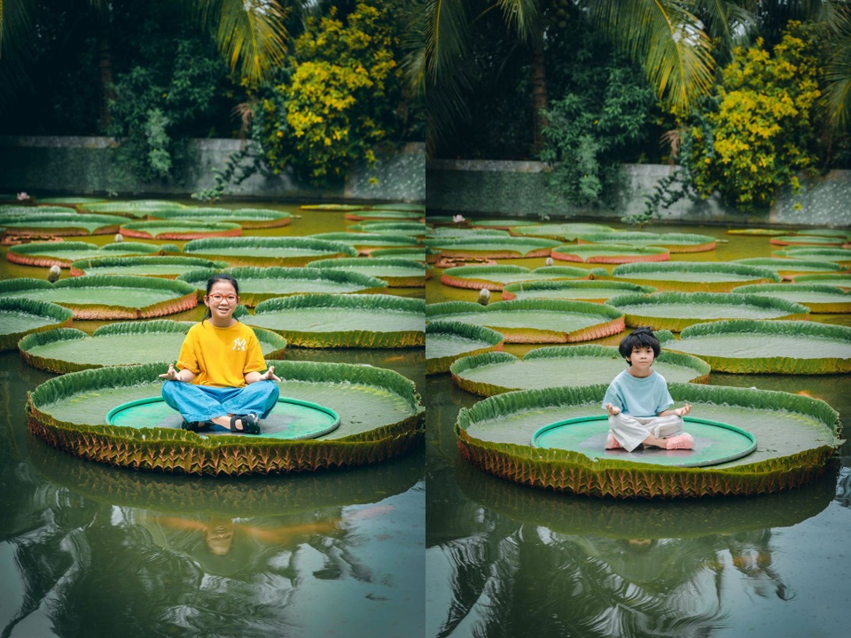 Ngôi chùa hút khách nhờ loài sen lạ, có thể cõng người trưởng thành - 5 Ngôi chùa hút khách nhờ loài sen lạ, có thể cõng người trưởng thành - 5