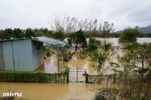 Nước sông dâng trở lại, Gia Lai yêu cầu sơ tán dân khẩn cấp