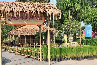 Thưởng ngoạn cảnh quê bình dị ngay giữa phố thị Đồng Tháp