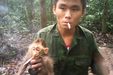 Nam thanh niên ngược đãi, ép khỉ con hút thuốc