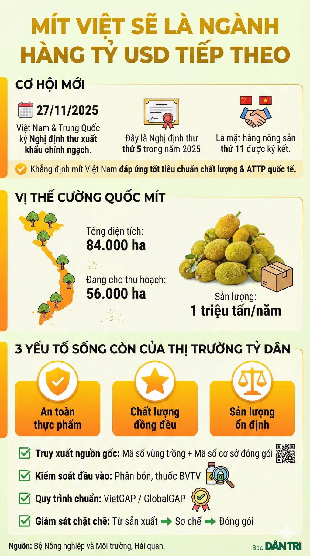 Trung Quốc mở cửa, mít Việt hướng tới xuất khẩu tỷ USD - 3