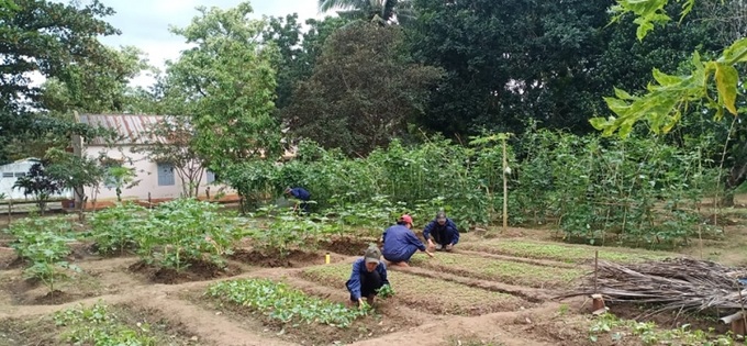 Học viên tham gia chăm sóc vườn rau nhằm tăng gia sản xuất, cải thiện bữa ăn hàng ngày