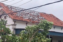 Dông lốc tốc mái nhiều nhà dân, trường học ở Hải Phòng