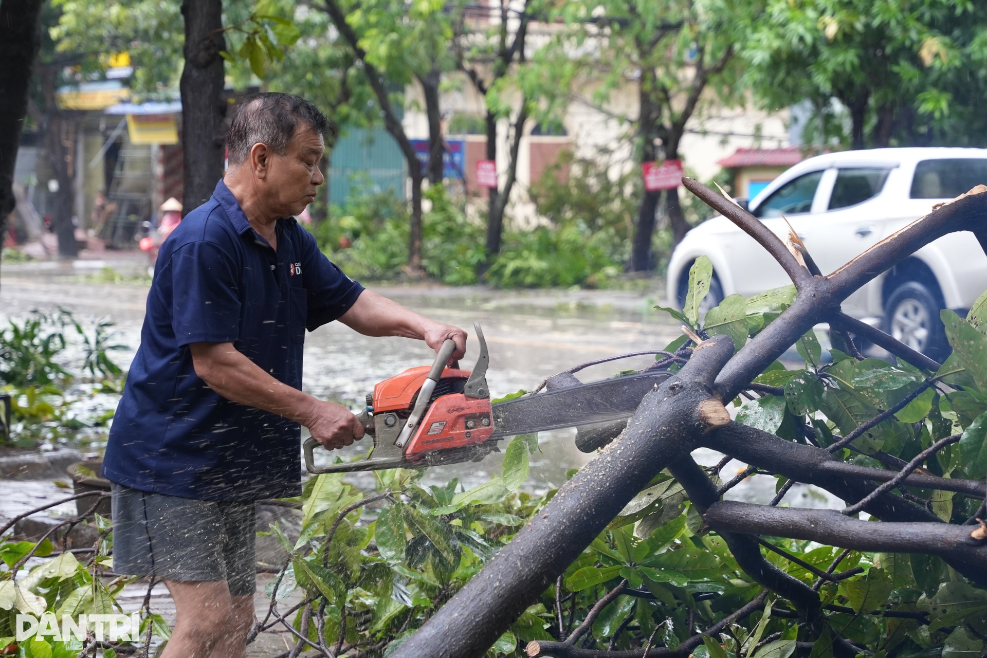 Khung cảnh tan hoang ở thành Vinh sau bão Kajiki - 5 Khung cảnh tan hoang ở thành Vinh sau bão Kajiki - 5