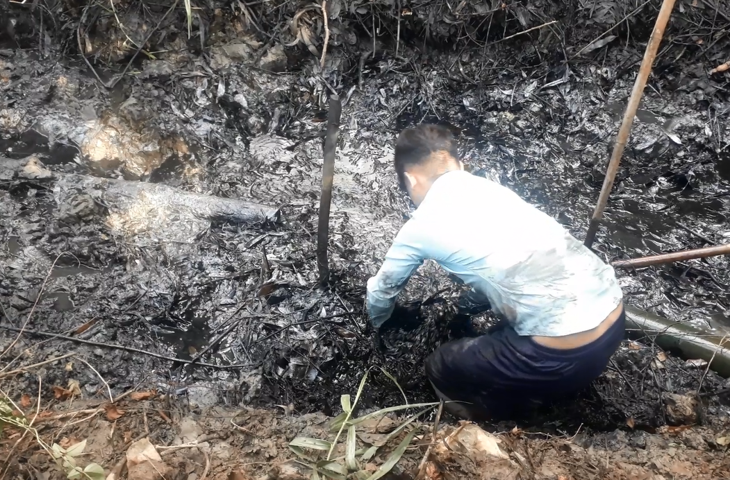 Háo hức tát ao, bắt cá ngày Tết - 3