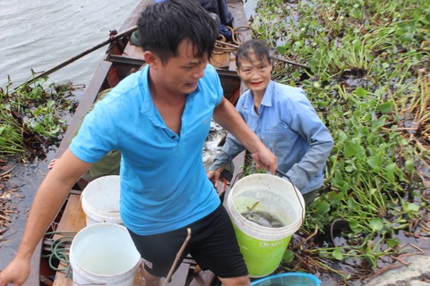 Người dân gạt bèo gánh cá đặc sản "chạy" mưa bão