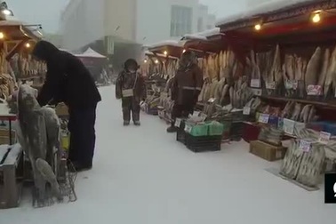 Đến thăm chợ cá ở thành phố lạnh nhất thế giới khi nhiệt độ hạ xuống -45 độ