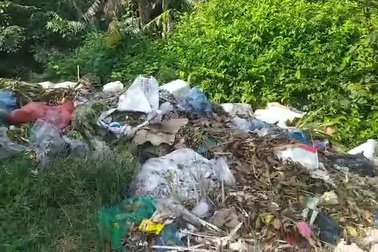 Rác thải do HTX chợ Vực đổ ra phủ phủ kín bờ sông Ngàn Mọ.