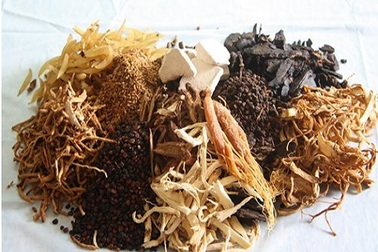 Đông y trị liệu ung thư phổi