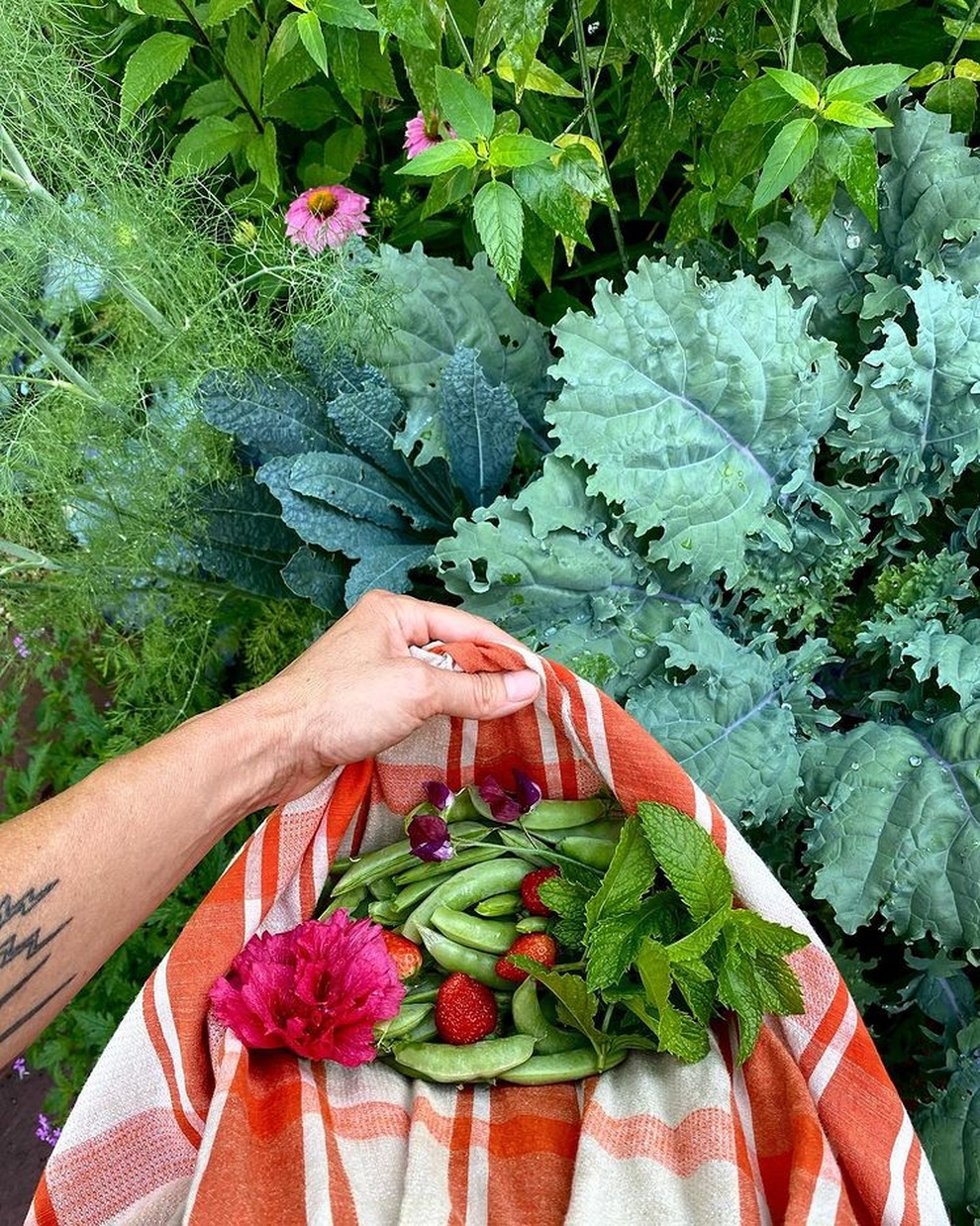 Vườn rau sạch đủ loại hái không xuể, mẹ đảm chia cho cả hàng xóm - 4