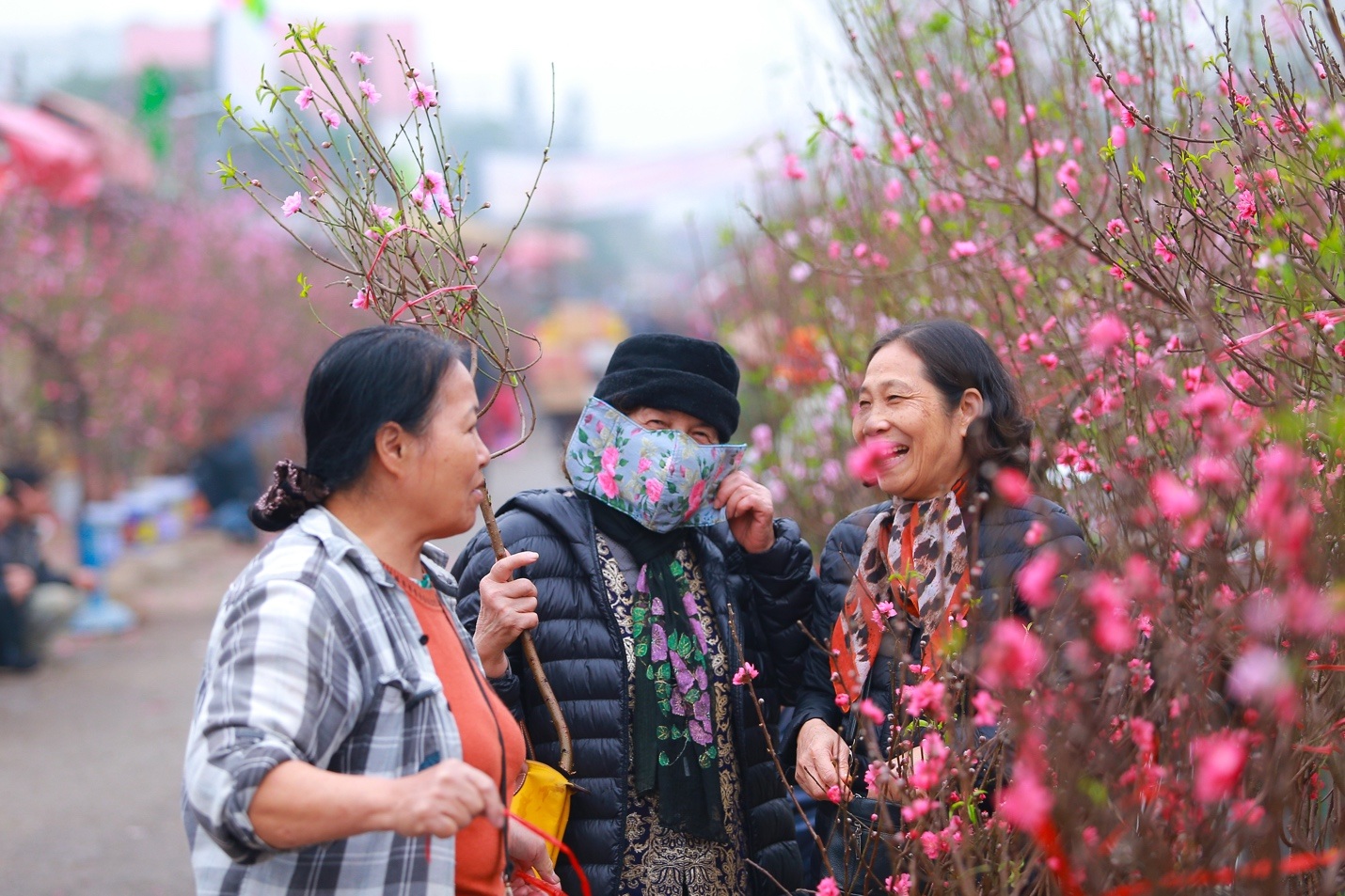 Đào Nhật Tân bung nở nhuộm đỏ rực chợ hoa lớn nhất ở Hà Nội - 5