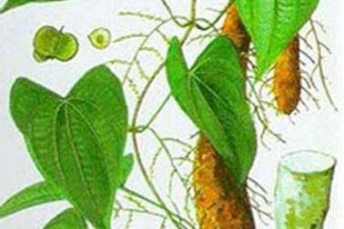 Ba nội tiết tố cần cho phụ nữ “tuổi băm”