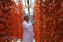 Lâm Đồng: Hồi sinh nghề sấy hồng với công nghệ Nhật Bản