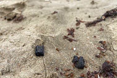 Dầu vón cục xuất hiện tại bờ biển Nha Trang