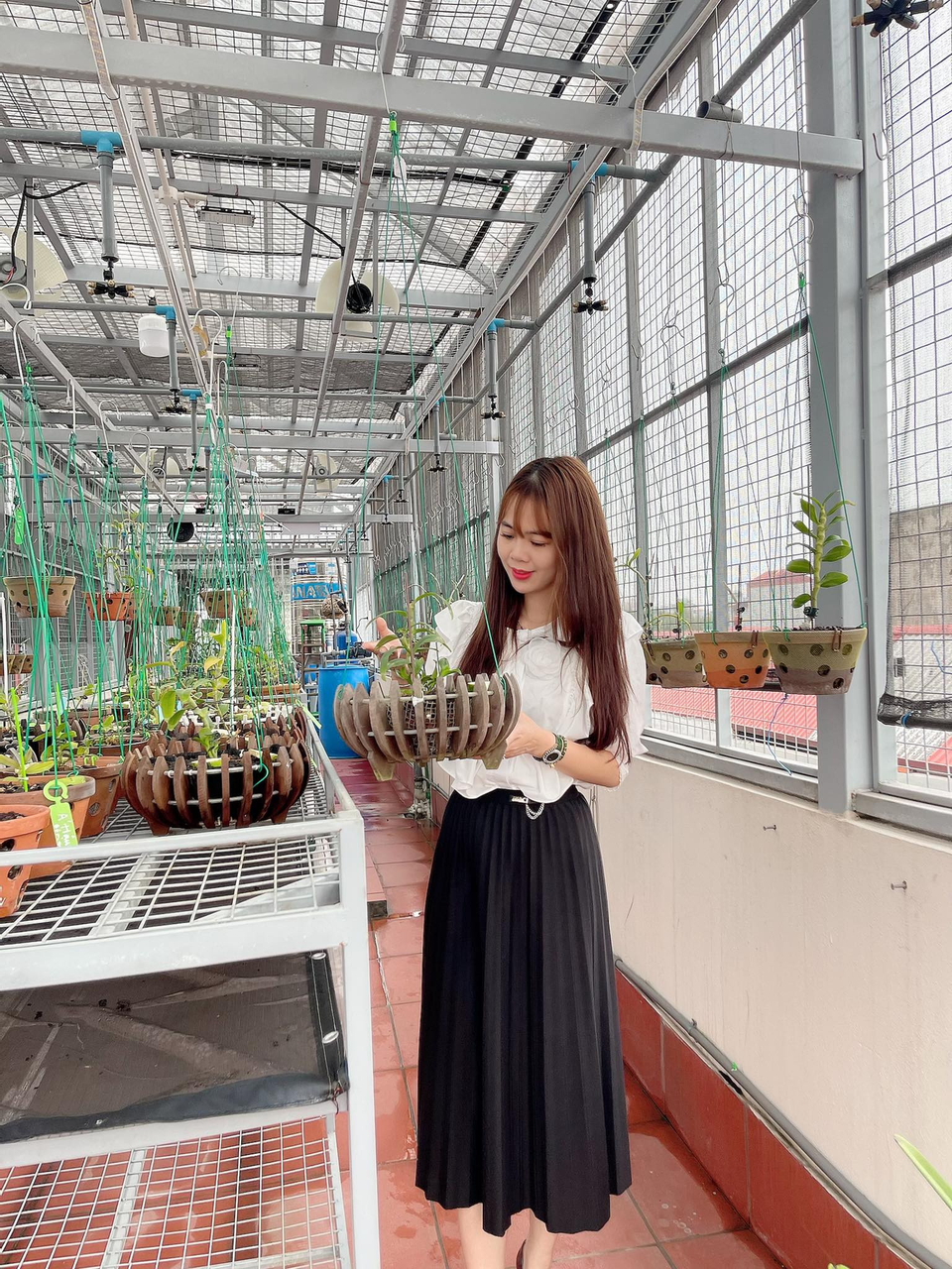 Nghệ nhân Lê Hải Yến chia sẻ bí quyết trồng lan đơn thân nhanh ra rễ - 2 Nghệ nhân Lê Hải Yến chia sẻ bí quyết trồng lan đơn thân nhanh ra rễ - 2