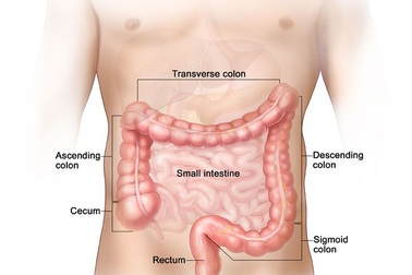 Phòng ngừa ung thư đại trực tràng không phải quá khó như chúng ta vẫn nghĩ