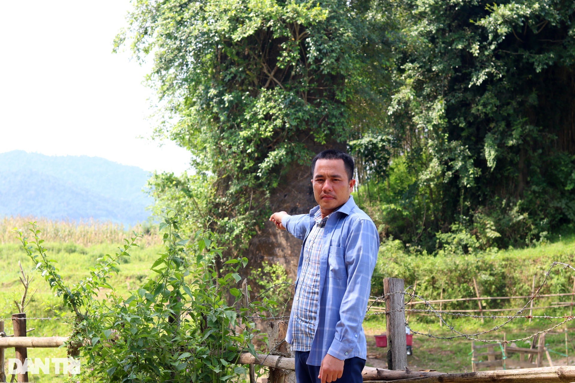 Khám phá không trung thiết lộ dài 65km nối Việt - Lào ở thế kỷ XX - 8 Khám phá không trung thiết lộ dài 65km nối Việt - Lào ở thế kỷ XX - 8