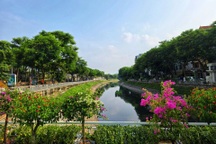 Hà Nội trang trí chậu hoa che ống dẫn nước, lắp máy sục khí ở sông Tô Lịch