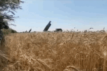 Hình ảnh hiếm gặp: Bốn "hỏa thần" HIMARS của Ukraine đồng loạt khai hỏa