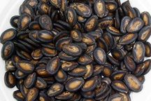 2 vợ chồng mắc ung thư giai đoạn cuối vì "nghiện" hạt dưa