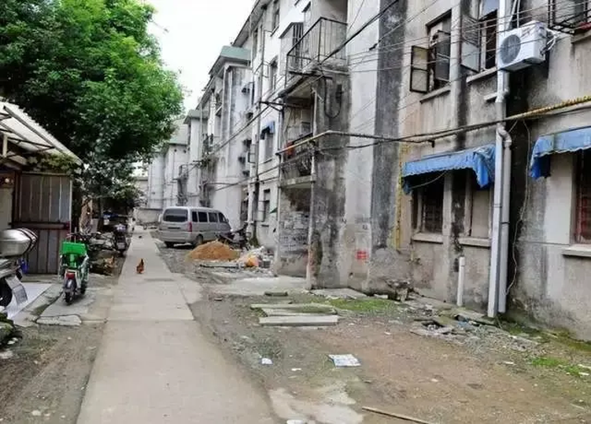 Cưu mang đứa trẻ mồ côi, 15 năm sau bất ngờ nhận được 55 tỷ - 2 Cưu mang đứa trẻ mồ côi, 15 năm sau bất ngờ nhận được 55 tỷ - 2