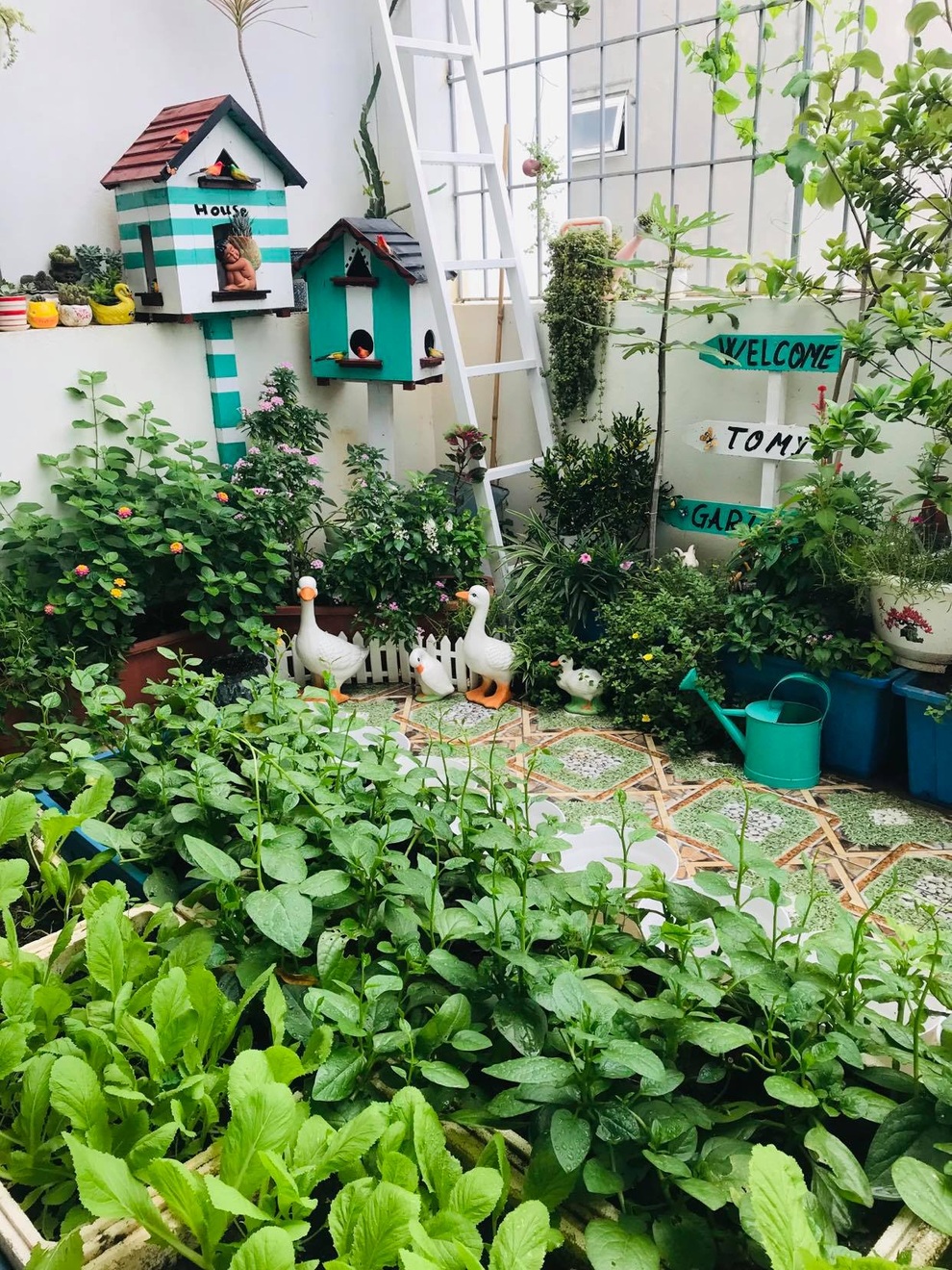 Tái chế đồ cũ, gia chủ Hải Phòng làm vườn sân thượng đẹp như công viên - 3 Tái chế đồ cũ, gia chủ Hải Phòng làm vườn sân thượng đẹp như công viên - 3
