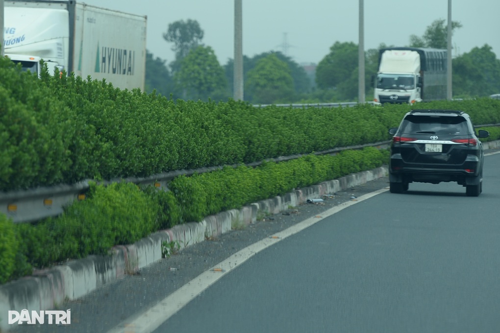 Trồng cây xanh trên cao tốc: Tưới nước tự động, cơ giới hóa việc cắt tỉa - 3