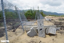 Dự án điện mặt trời "nuốt" hơn 5 ha rừng phòng hộ ven biển!?