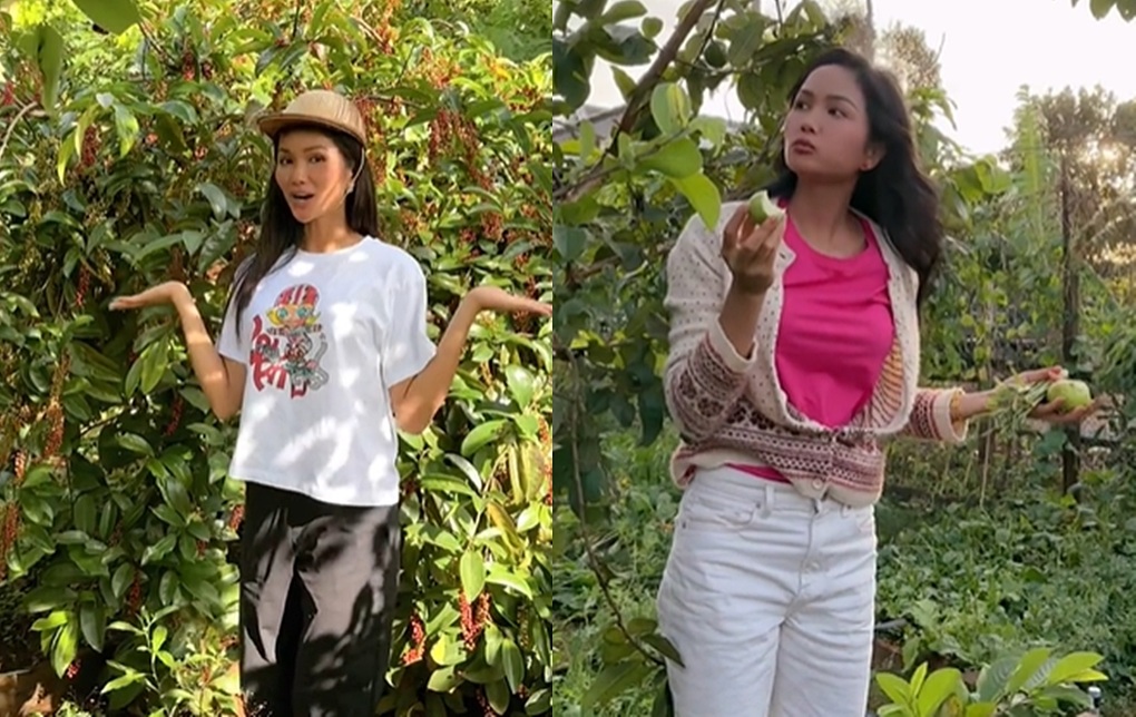 Video HHen Niê về quê nhặt sầu riêng bỗng gây sốt, hút 10 triệu lượt xem - 2 Video HHen Niê về quê nhặt sầu riêng bỗng gây sốt, hút 10 triệu lượt xem - 2