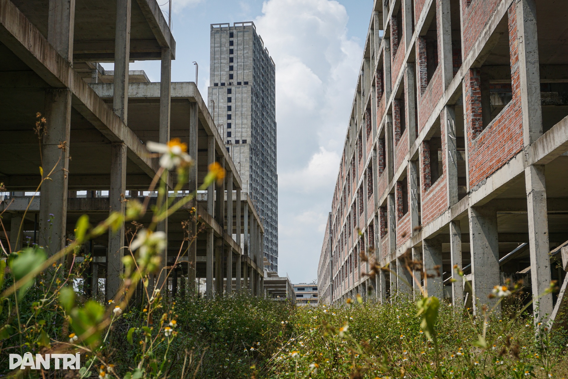 Hiện trạng Cocobay, siêu dự án đình đám một thời ở Đà Nẵng - 11