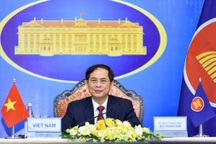 Việt Nam kêu gọi ASEAN tận dụng hiệu quả mọi cơ hội hợp tác về vắc xin