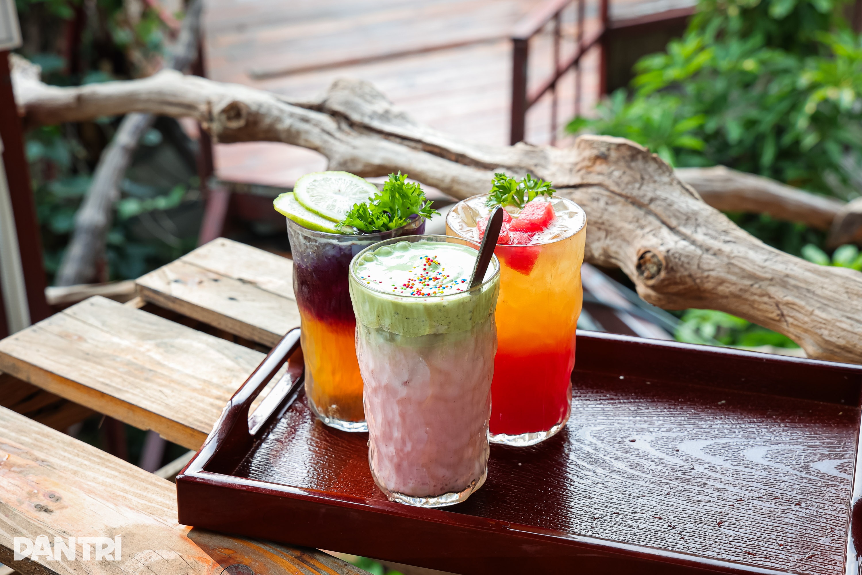 Kafe seluas 1,600m2 itu seperti hutan tropika di tengah-tengah Hanoi - 7 Quán cà phê rộng hơn 1.600m2 như rừng nhiệt đới giữa lòng Hà Nội - 7